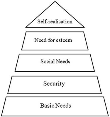 Factors contributing to university dropout: a review